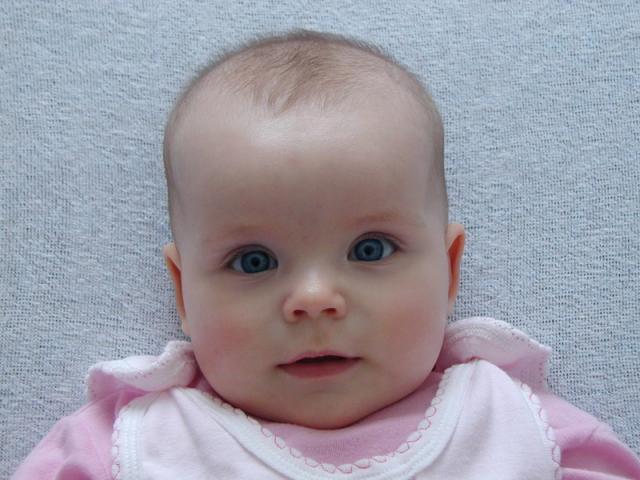 pic00087.jpg
