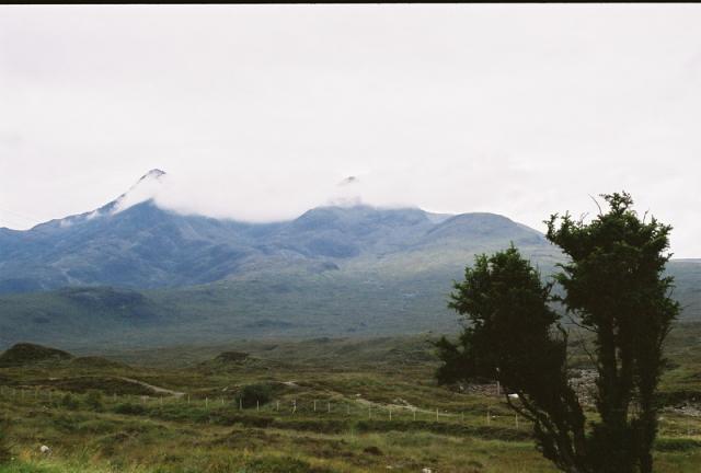 26-000037.JPG