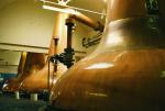 Palí­rna Glen Moray