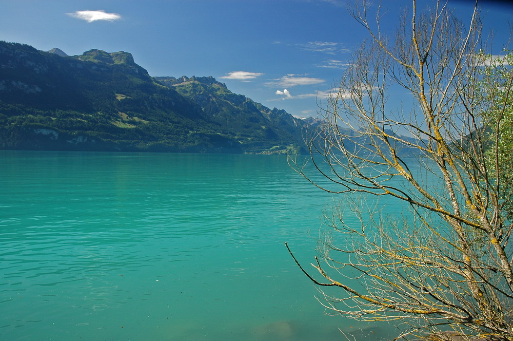 DSC_2034.JPG