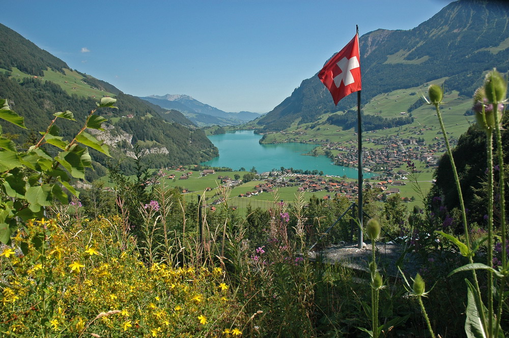 DSC_2053.JPG