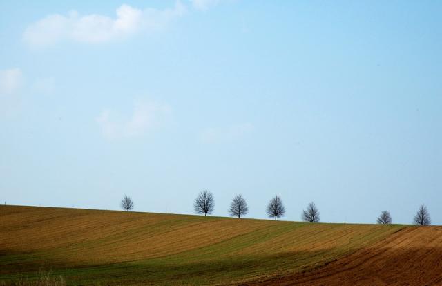DSC_3687.JPG
