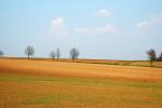DSC_3693.JPG