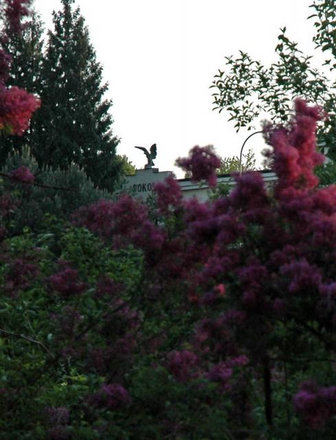 DSC_3769.JPG