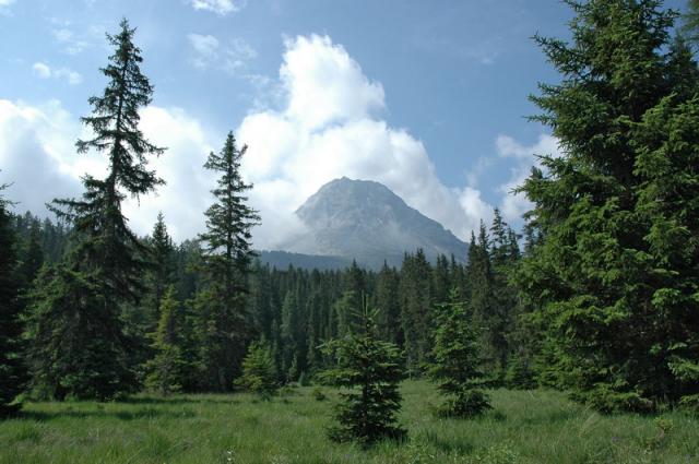DSC_0517.JPG