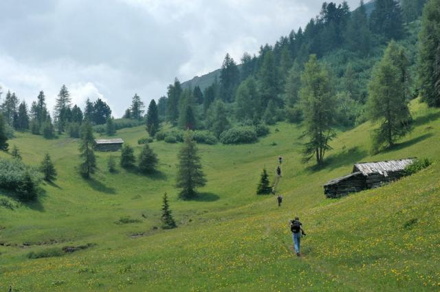 DSC_0566.JPG