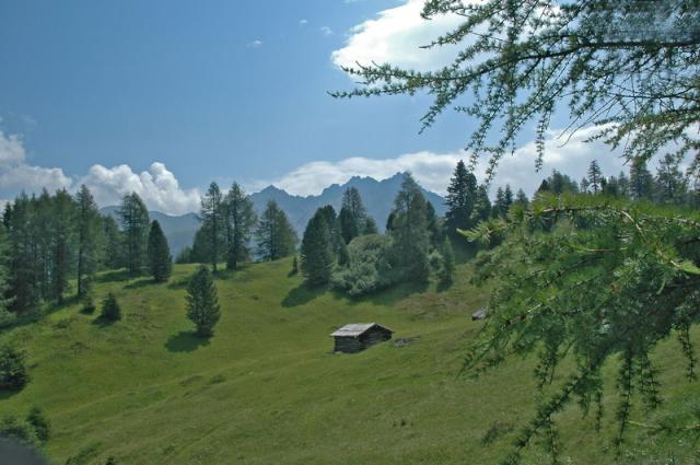 DSC_0568.JPG