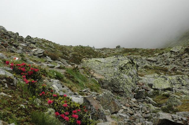 DSC_0632.JPG