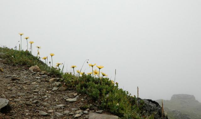 DSC_0647.JPG
