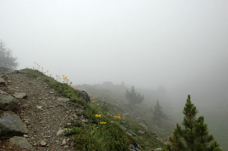 DSC_0650.JPG