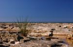 2005-09-05 21-03-25.JPG