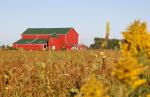 Ontario - farma