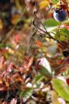 2005-09-13 14-10-06.JPG