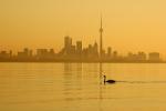 Ranní­ Toronto